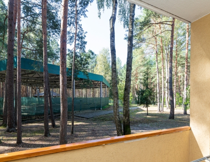 1-мест. повыш. комф. - Санаторий «Сосновый бор» Беларусь