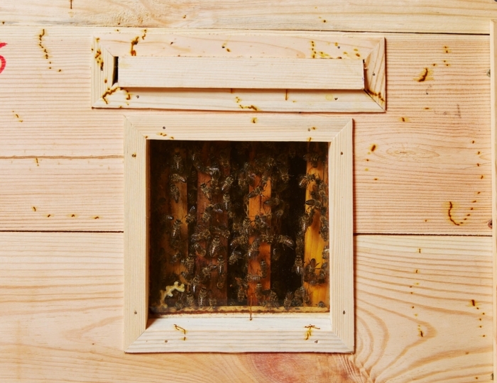 SPA-отдых - Санаторий «Сосновый бор» Беларусь