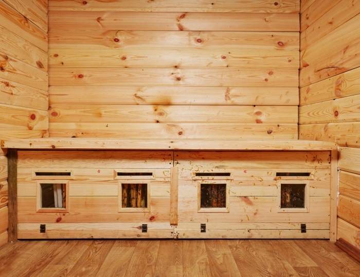 SPA-отдых - Санаторий «Сосновый бор» Беларусь